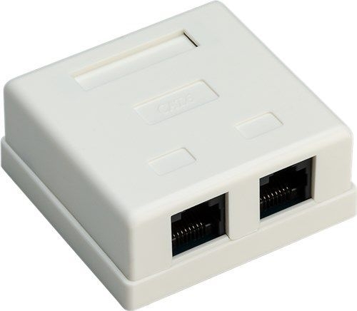 Goobay 77633 2-Port RJ45-Anschlussdose, CAT 6, UTP VPE Bulk Mindestbestellmenge 1