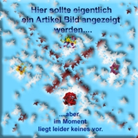 Goobay 58683 Micro HDMI™ / HDMI™-Adapter, 4K/60Hz VPE Cable Tag Mindestbestellmenge 1