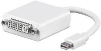 Goobay 61728 Mini DisplayPort/DVI-D Adapterkabel 1.1, 0.1 m, Weiß - Mini DisplayPort-Stecker > DVI-I-Buchse Dual-Link (24+5 pin)